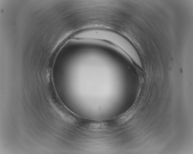 X0000062910160200602031906