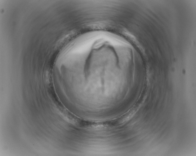 X0000062910161200602031906