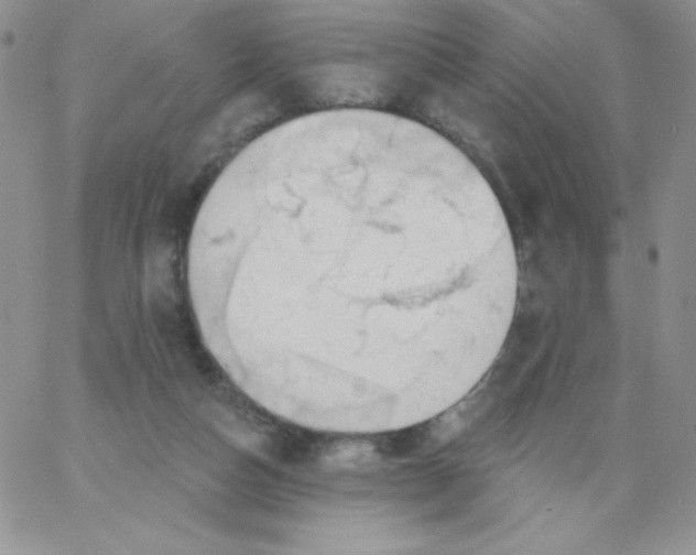 X0000062910162200602031906