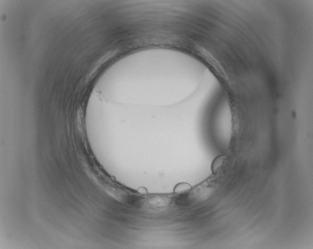 X0000062910163200602031906