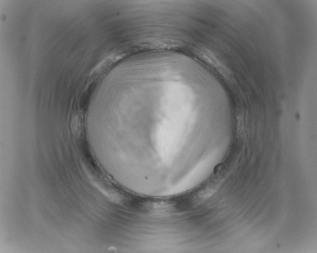 X0000062910165200602031906