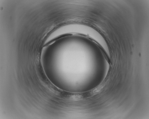 X0000062910168200602031906