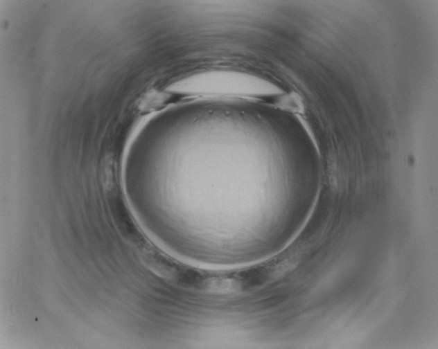 X0000062910169200602031906