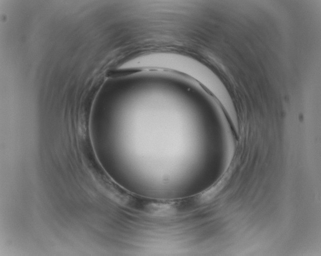 X0000062910170200602031906