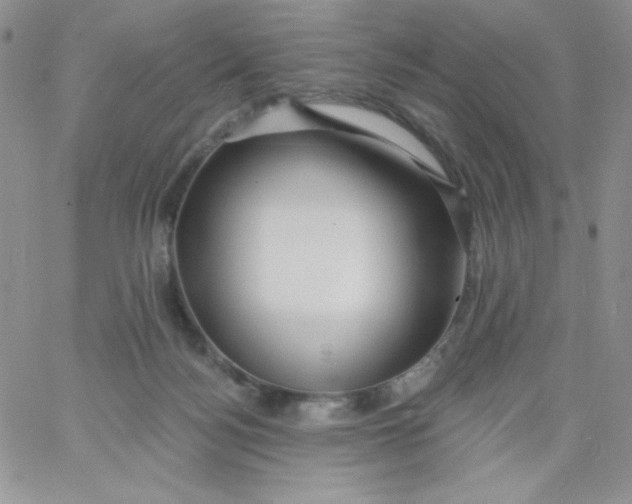 X0000062910172200602031906