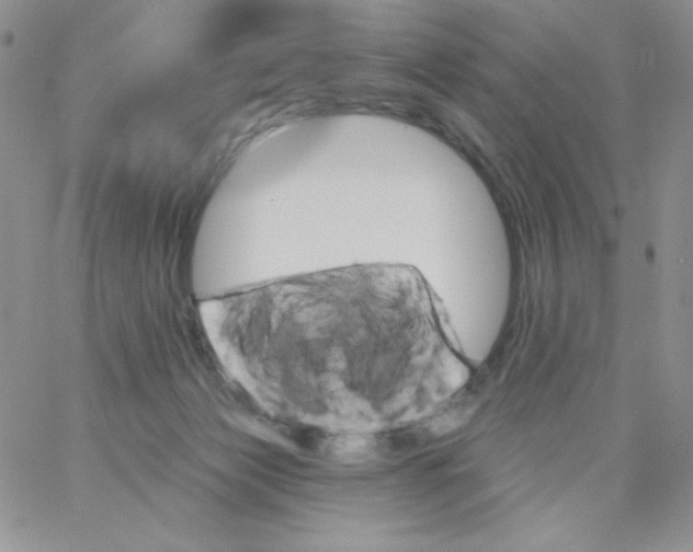 X0000062910173200602031906