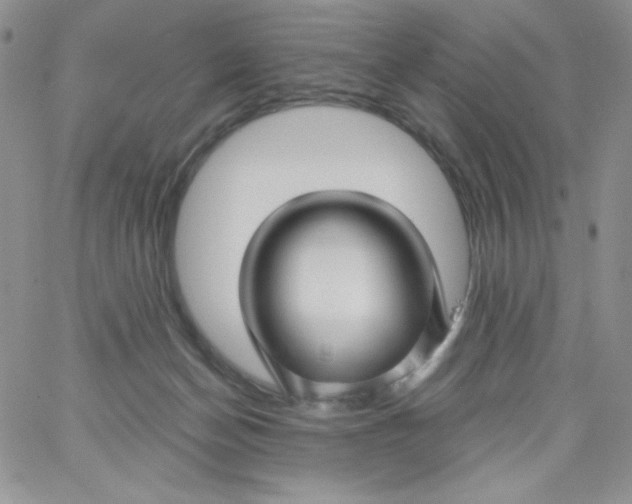 X0000062910174200602031906