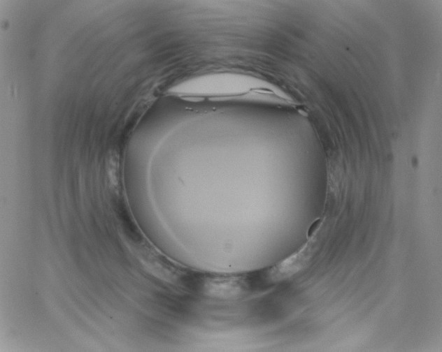 X0000062910175200602031906