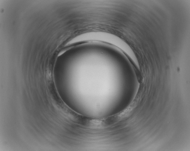 X0000062910176200602031906