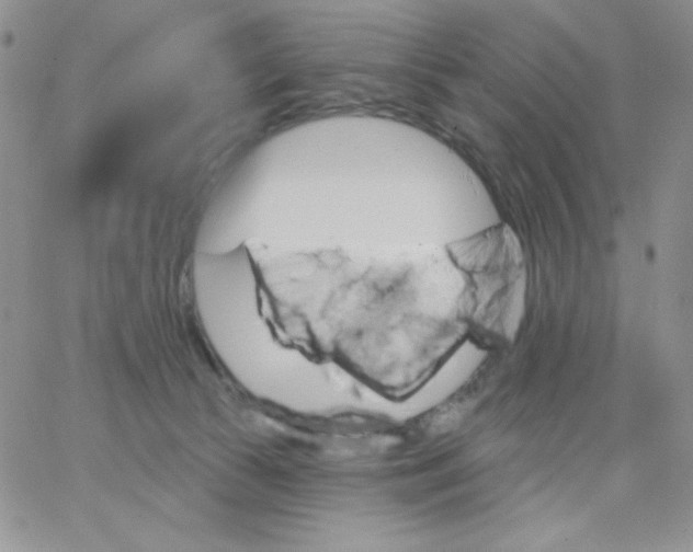 X0000062910177200602031906