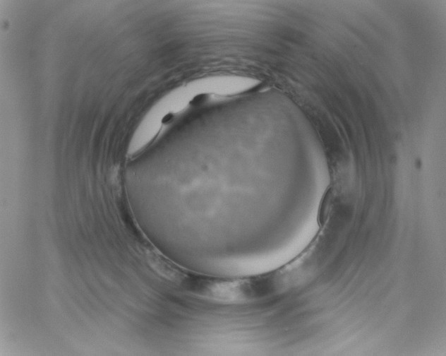 X0000062910178200602031906