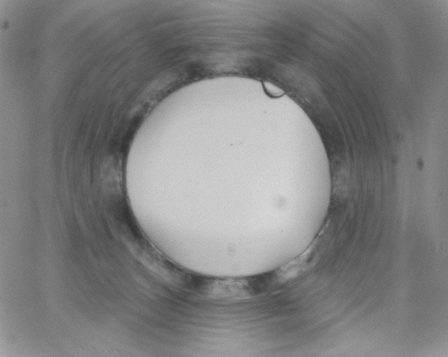 X0000062910179200602031906