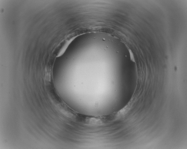 X0000062910180200602031906