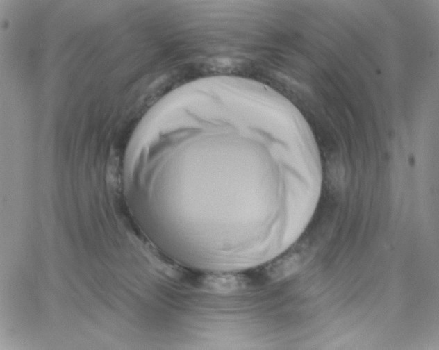 X0000062910181200602031906