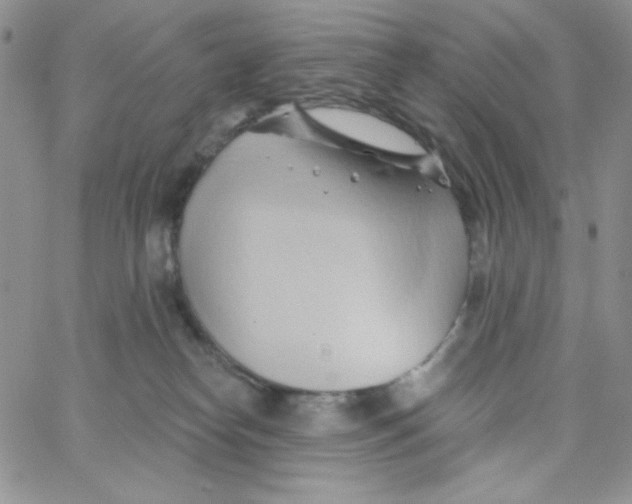 X0000062910182200602031906