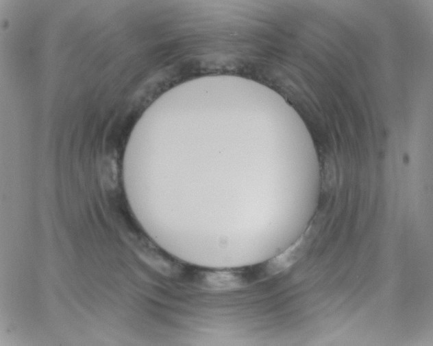 X0000062910183200602031906