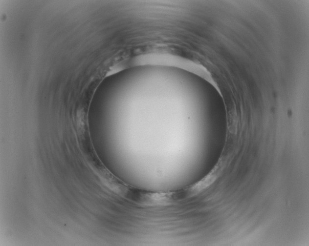 X0000062910184200602031906