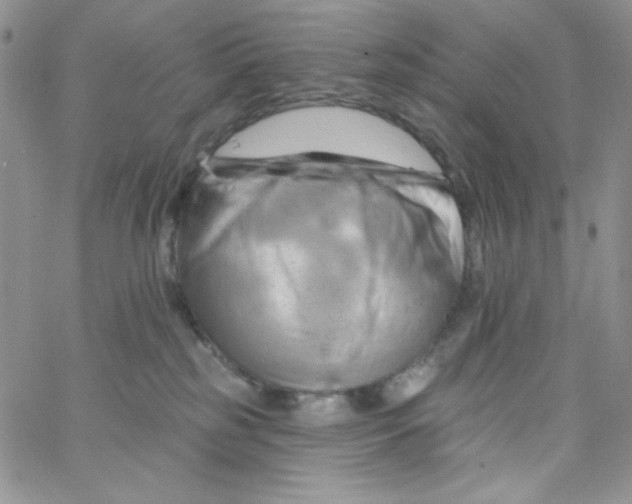 X0000062910185200602031906