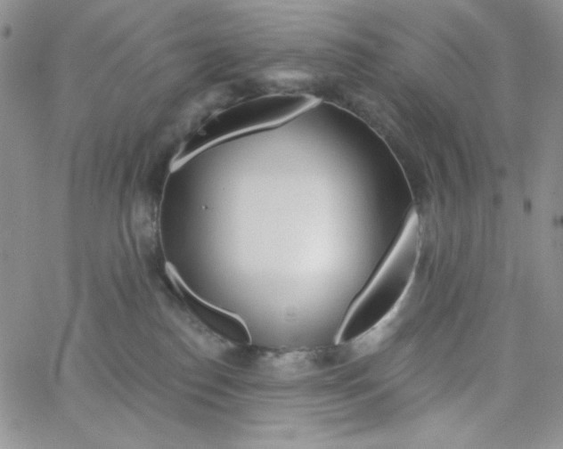 X0000062910186200602031906