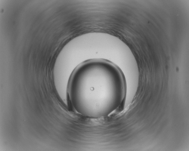 X0000062910188200602031906