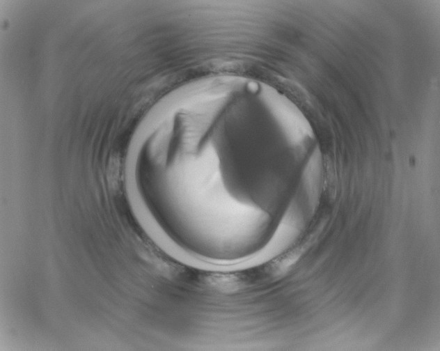 X0000062910189200602031906