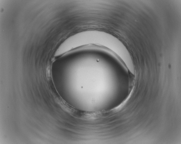 X0000062910190200602031906