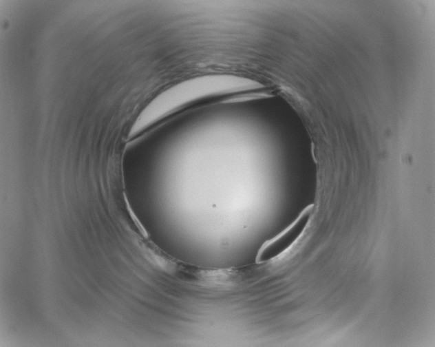 X0000062910192200602031906