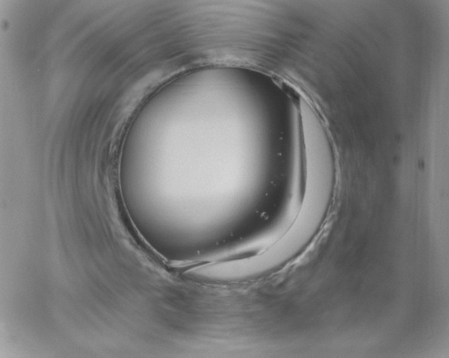 X0000062910193200602031905