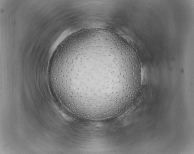 X0000062910195200602031905