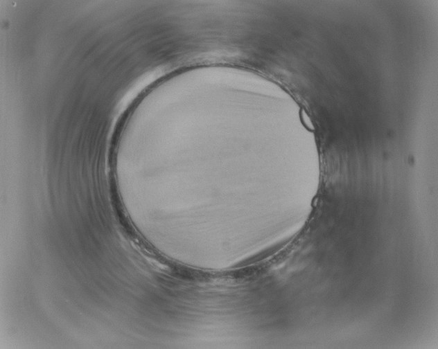 X0000062910196200602031905