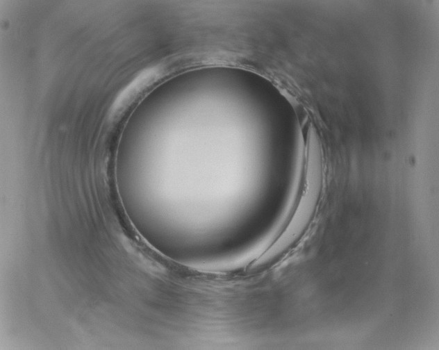 X0000062910197200602031905