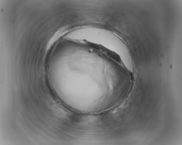 X0000062910198200602031905