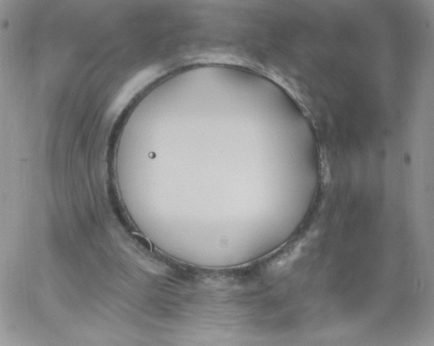 X0000062910199200602031905