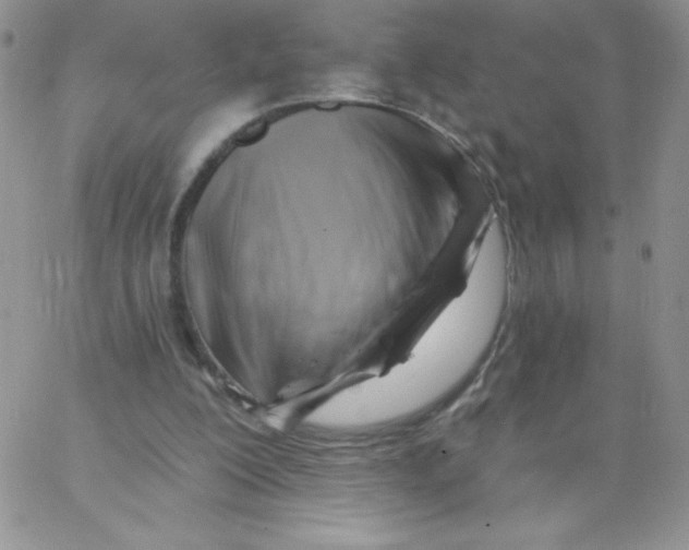 X0000062910200200602031905