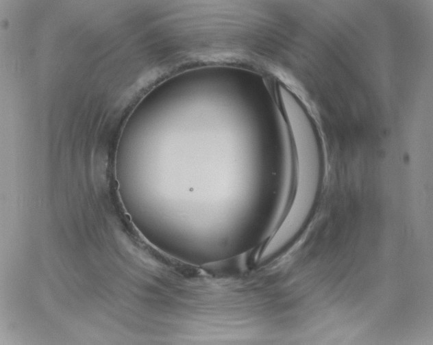 X0000062910201200602031905