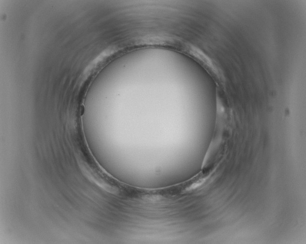 X0000062910203200602031905