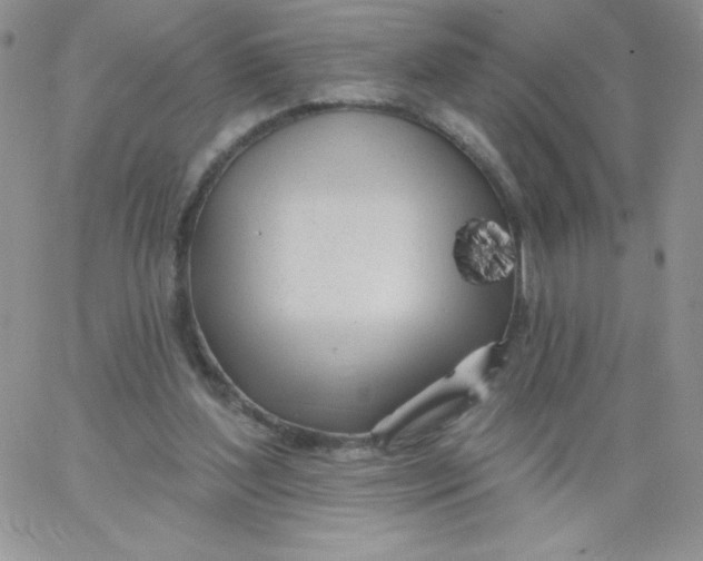 X0000062910204200602031905