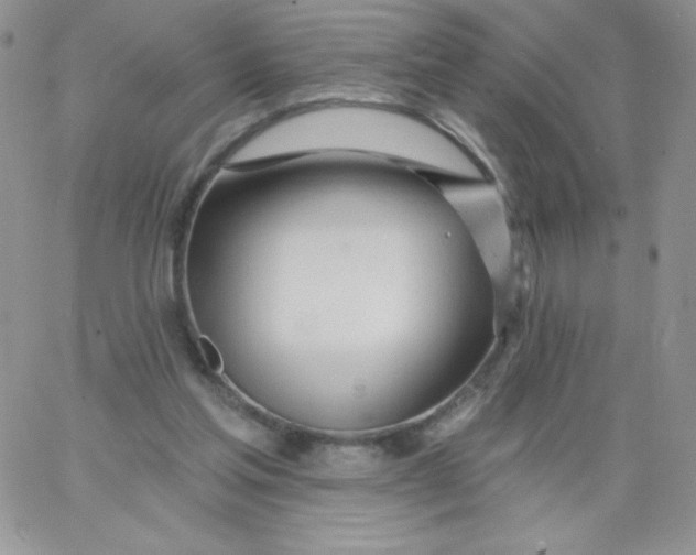 X0000062910205200602031905