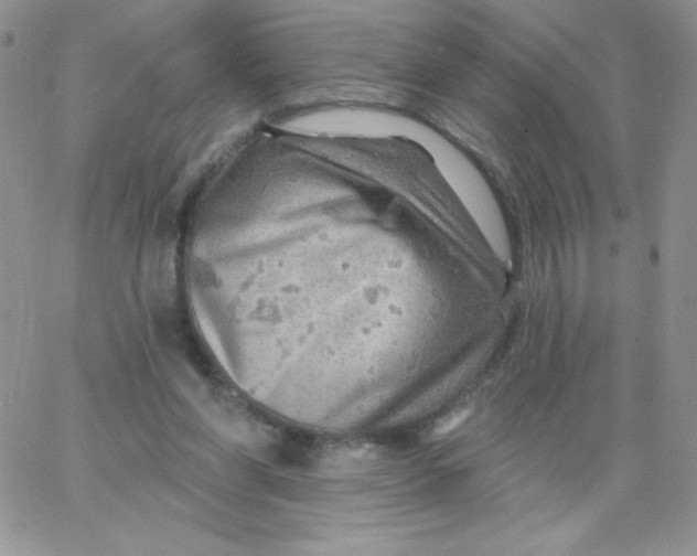 X0000062910206200602031905