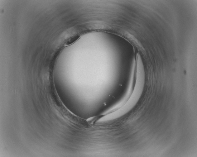 X0000062910207200602031905