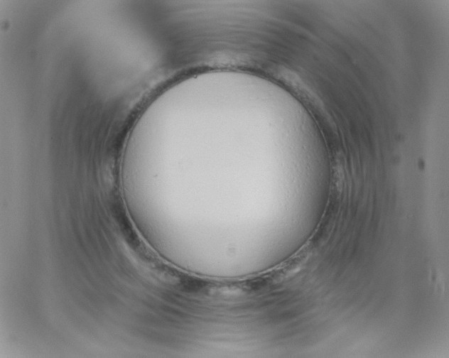 X0000062910208200602031905