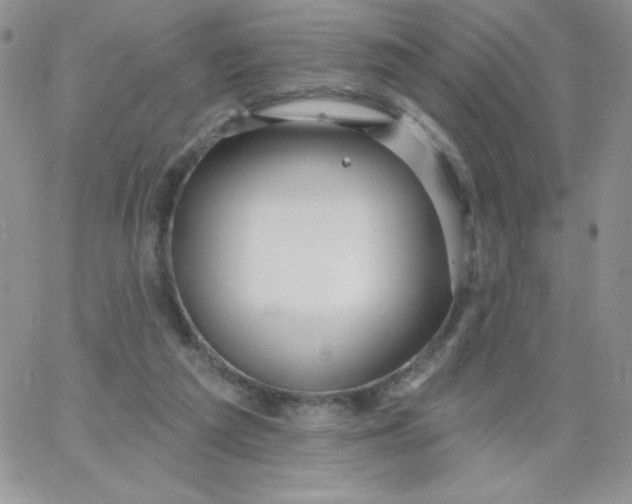 X0000062910209200602031905