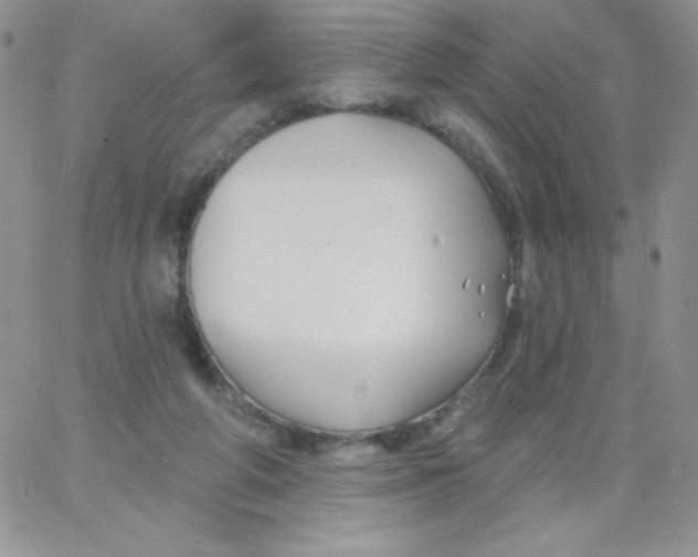 X0000062910210200602031905