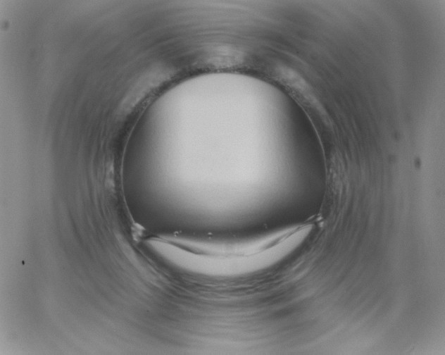 X0000062910212200602031905