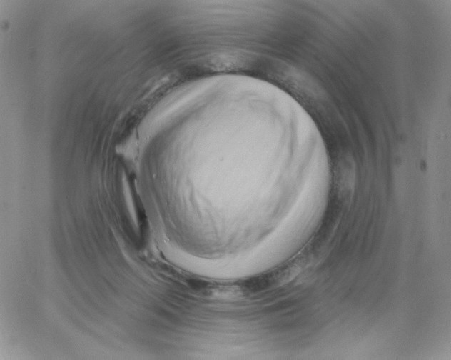 X0000062910214200602031905