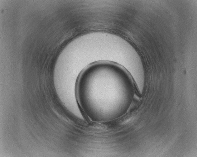 X0000062910215200602031905