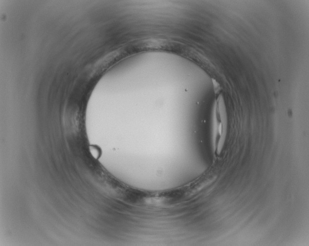 X0000062910216200602031905