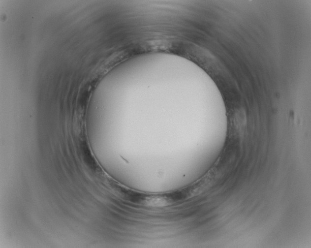 X0000062910218200602031905