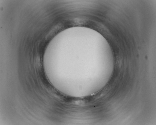 X0000062910220200602031905