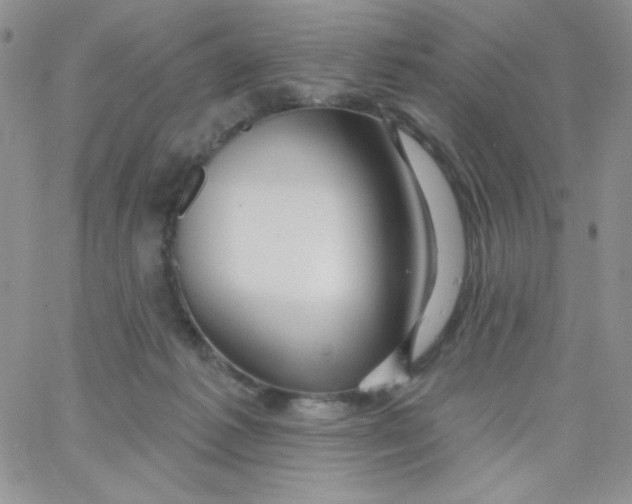 X0000062910221200602031905